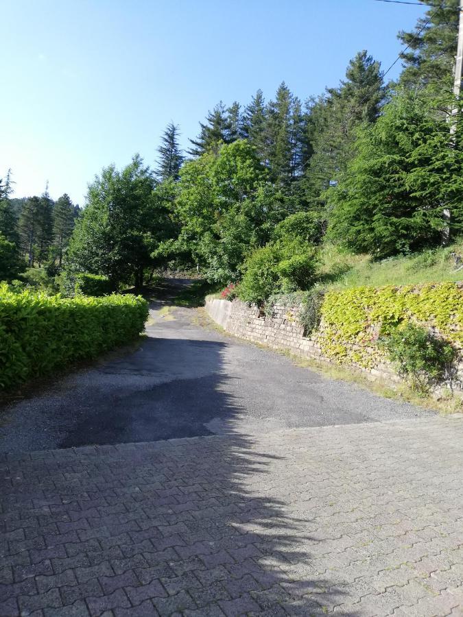 Gites En Cevennes "Chez Steloune" Genolhac Esterno foto