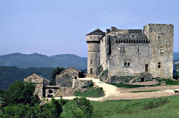 Gites En Cevennes "Chez Steloune" Genolhac Esterno foto